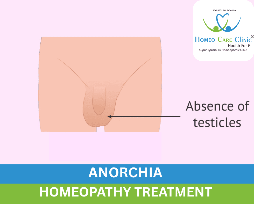 Anorchia Images