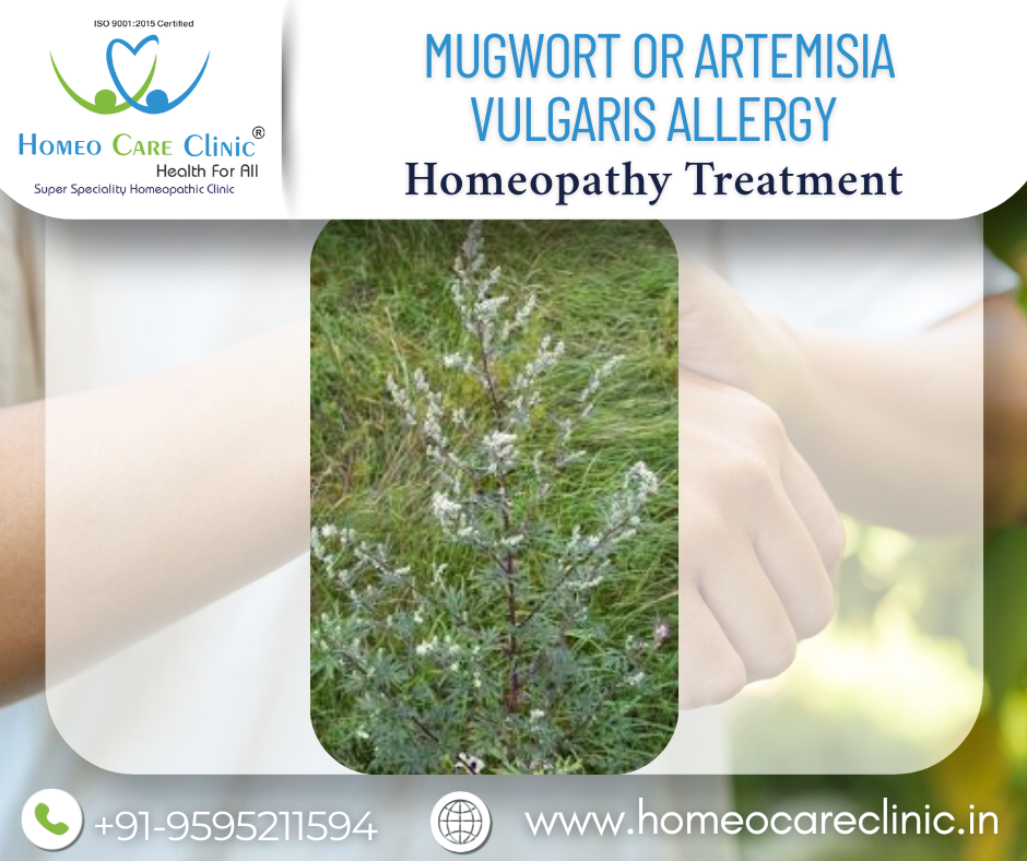Mugwort Pollen Allergy