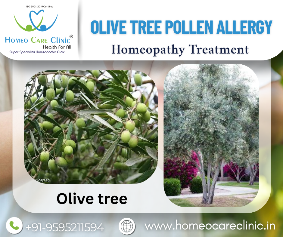 Olive Tree Pollen Allergy