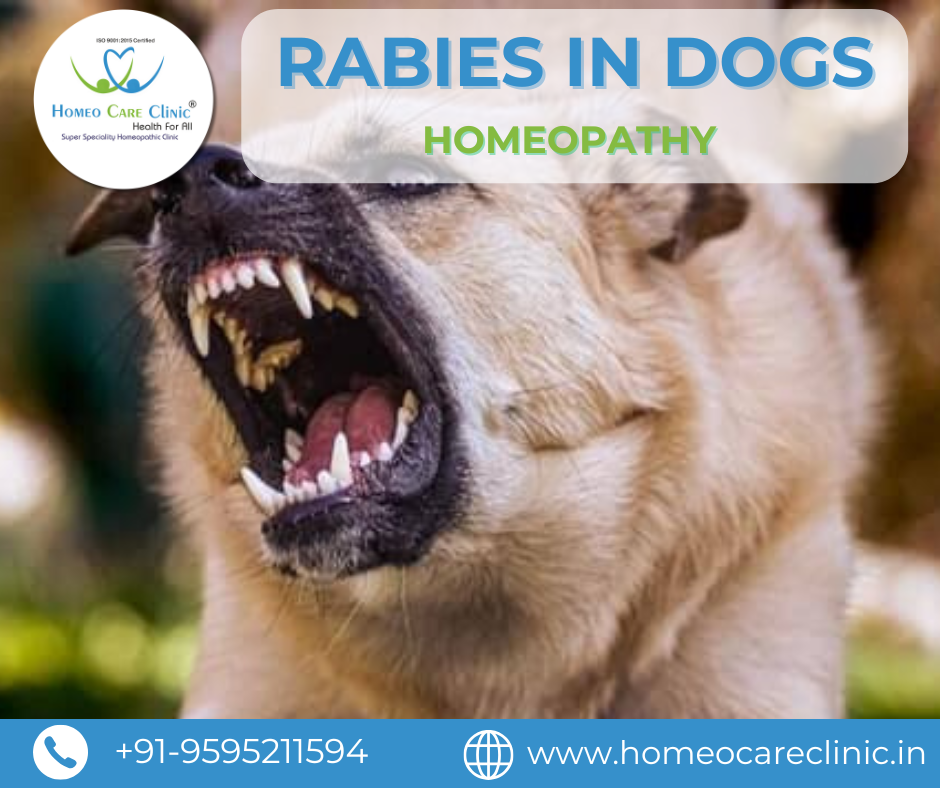 Rabies vaccine side effects