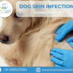 dog skin infection Treatment