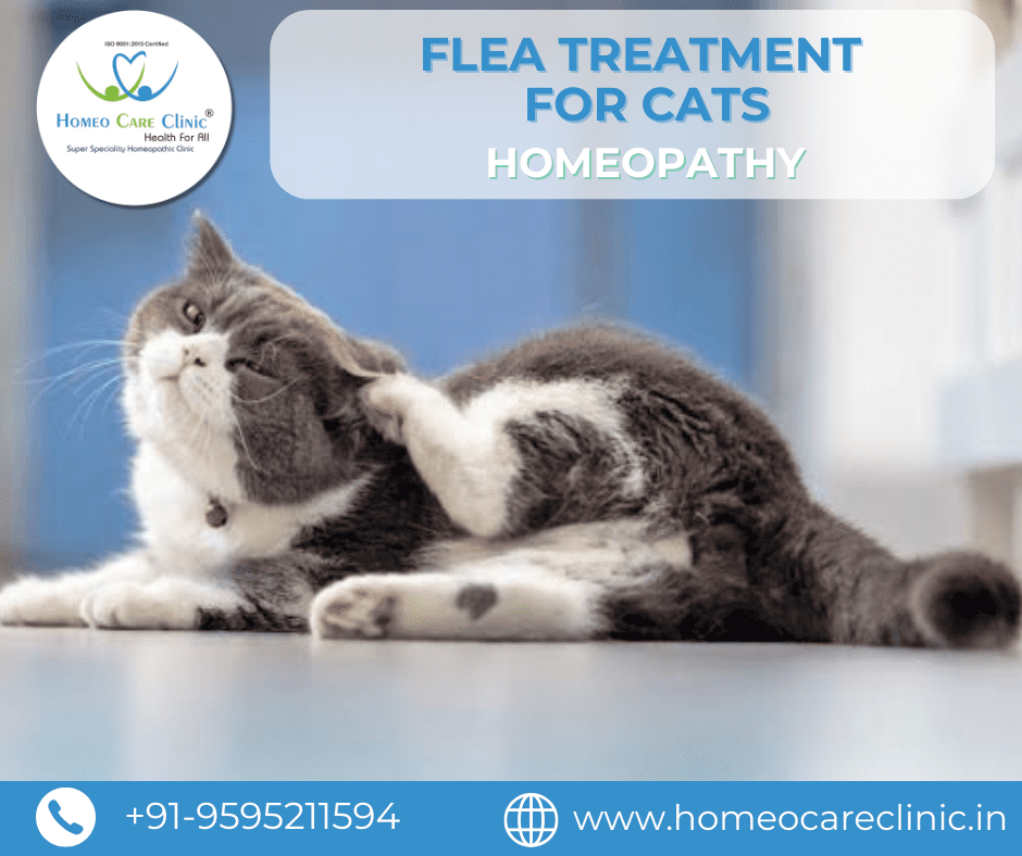 A closer look at Flea Infestation In Cat Home Treatment