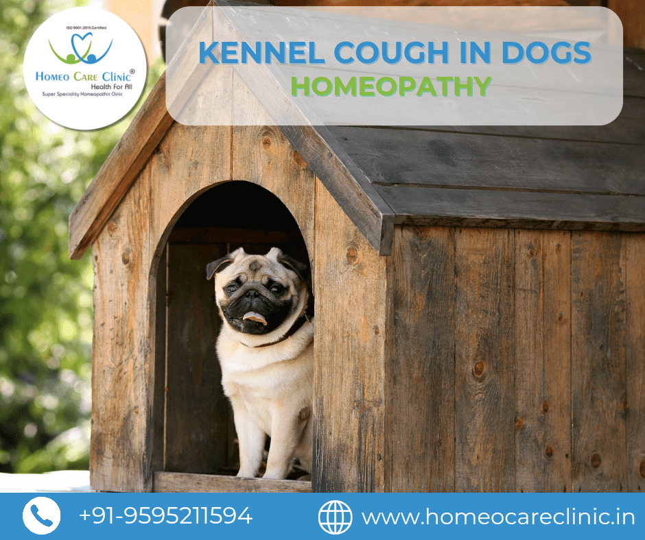 Can a Dog Get Kennel Cough at Home? Essential Facts Revealed