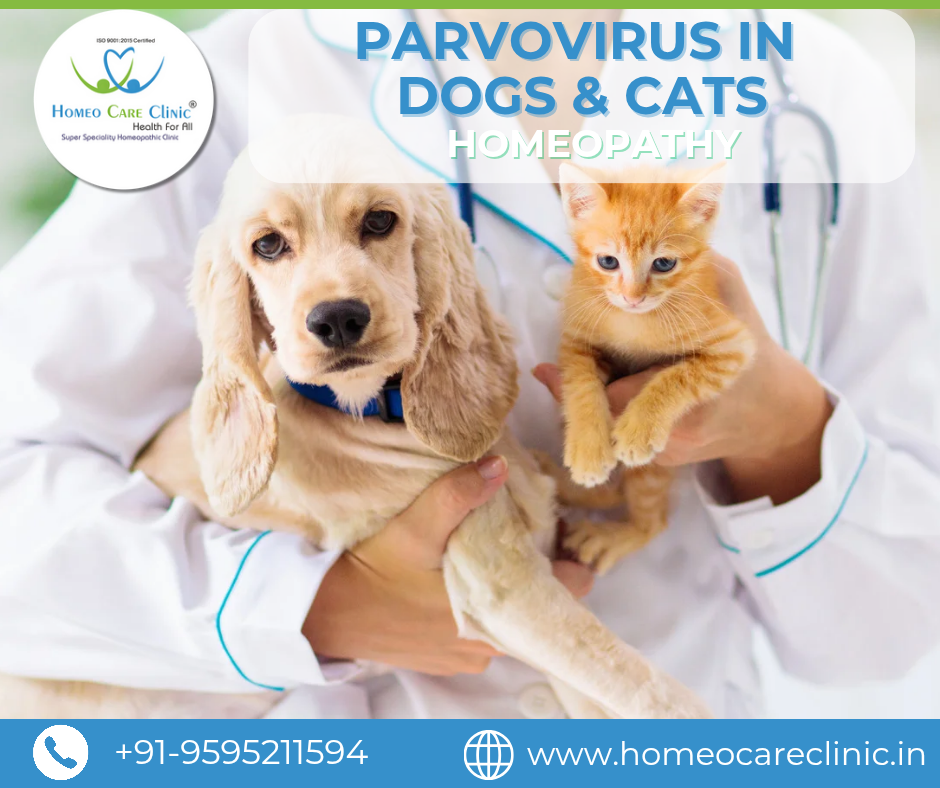Veterinarian examining a dog with parvovirus symptoms