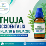 Thuja Occidentalis – Uses, Benefits, Thuja 30 & Thuja 200 Uses | Complete Homeopathic Medicine Guide
