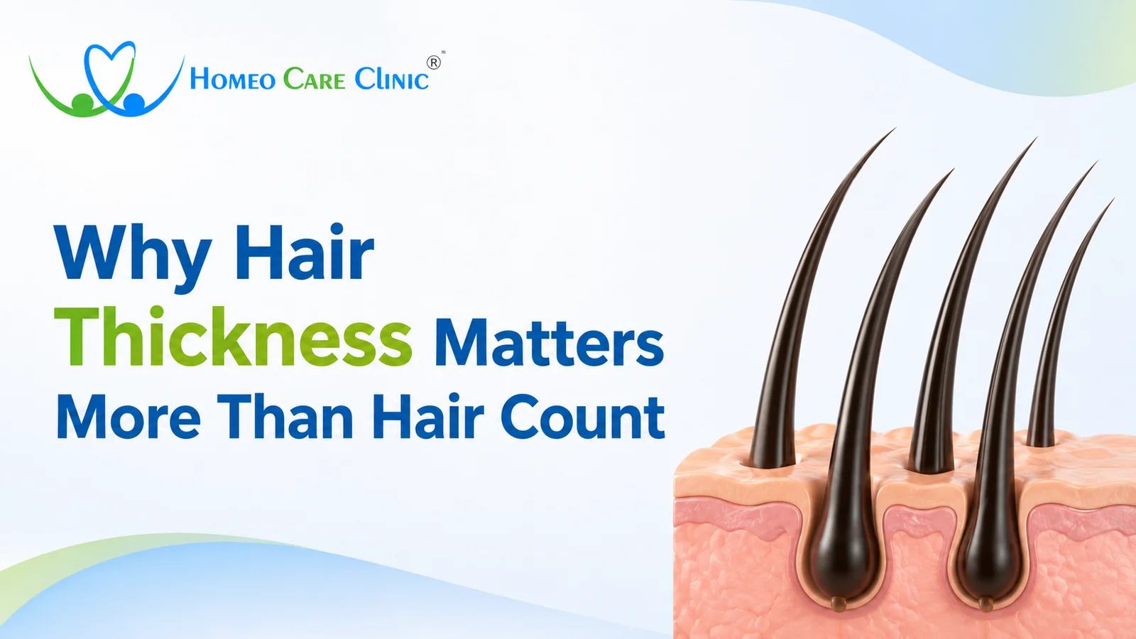 Why Hair Thickness Matters More Than Hair Count - Homeo Care Hair